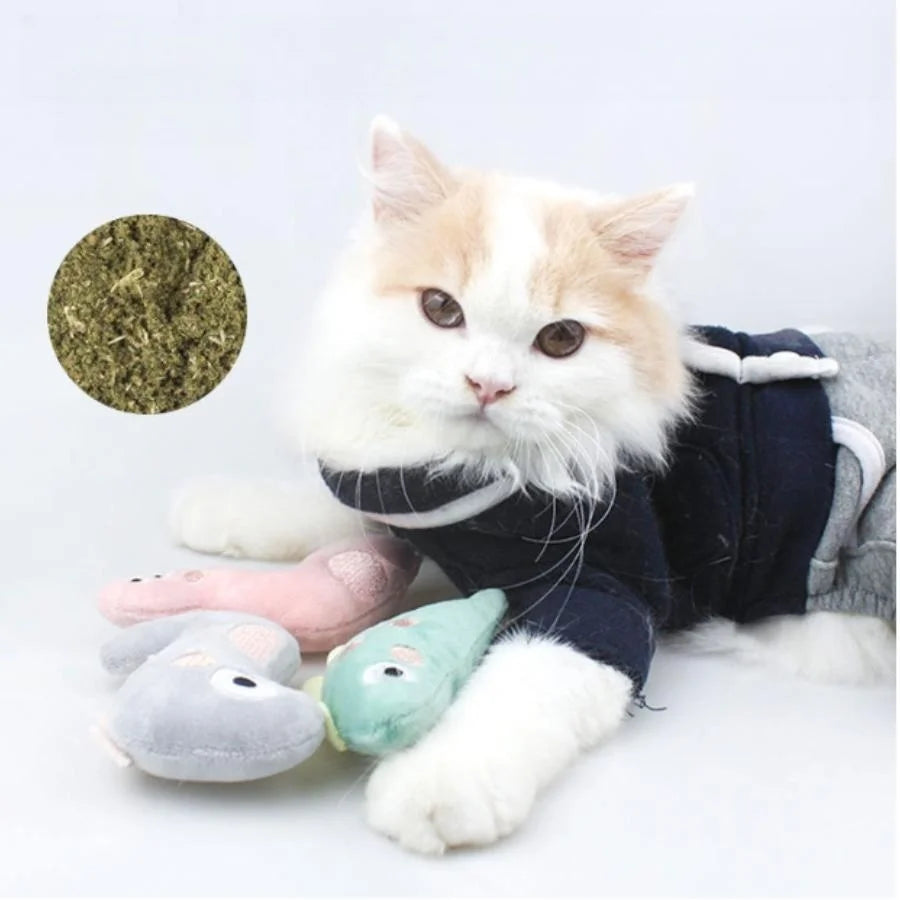 The "Pastel Critters" Plush Catnip Chew Toy – Soft Molar Teether (Dino, Gator & Friends)